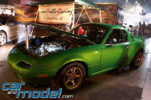 TNR_at_HIN_2003RS.jpg